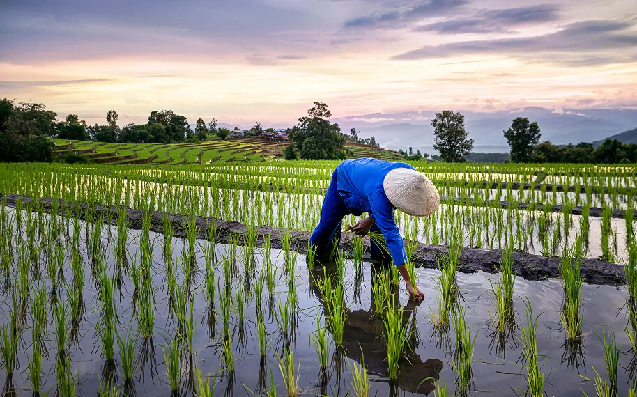 ปั๊มน้ำเพื่อการเกษตร